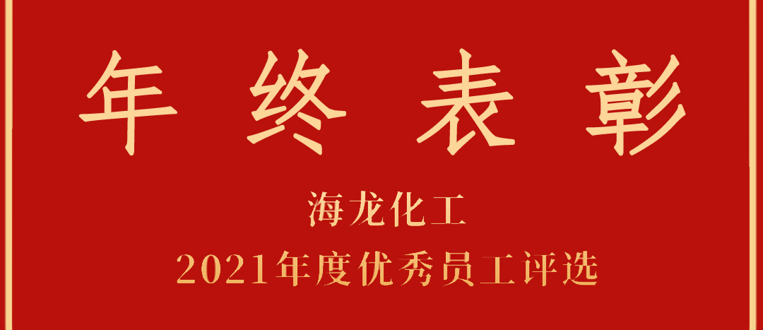 <strong>表彰！海龍化工2021年度優(yōu)秀員工優(yōu)秀部門評選</strong>